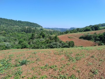 ÁREA DE TERRA RURAL, BARRA DO GUARITA/RS