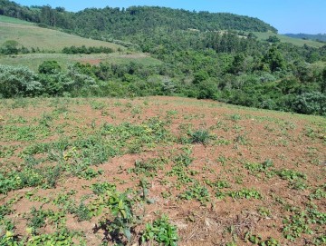 ÁREA DE TERRA RURAL, BARRA DO GUARITA/RS