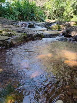 ÁREA DE TERRA RURAL, BARRA DO GUARITA/RS