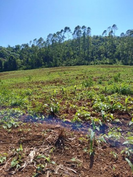 ÁREA DE TERRA RURAL, BARRA DO GUARITA/RS